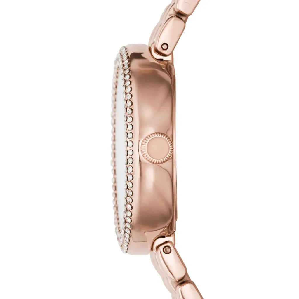Emporio Armani Watch For Women AR11355